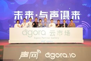 從技術(shù)服務(wù)到共創(chuàng) 聲網(wǎng)Agora攜手合作伙伴共建RTC生態(tài)